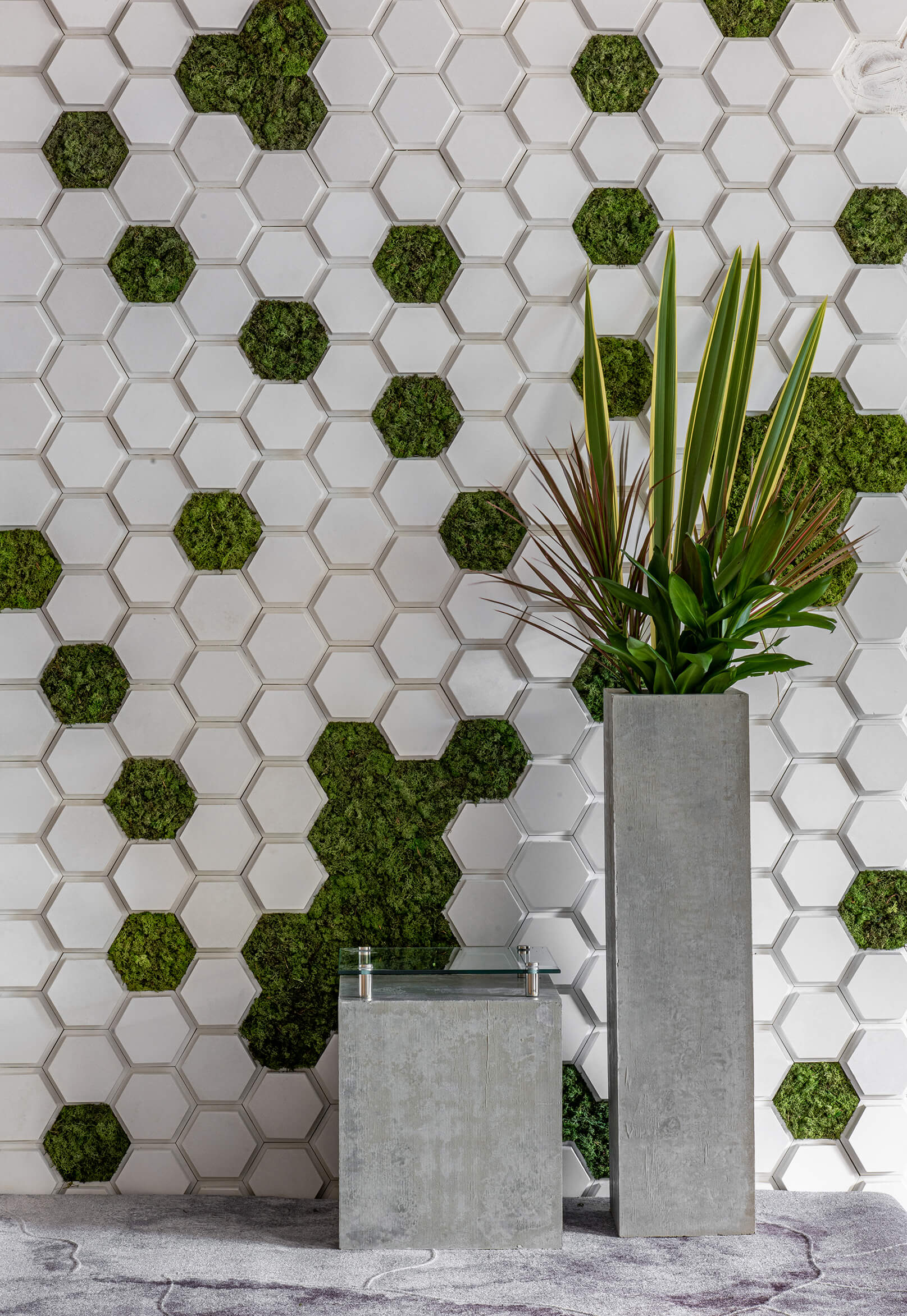 Polygon-Branco-e-Moss